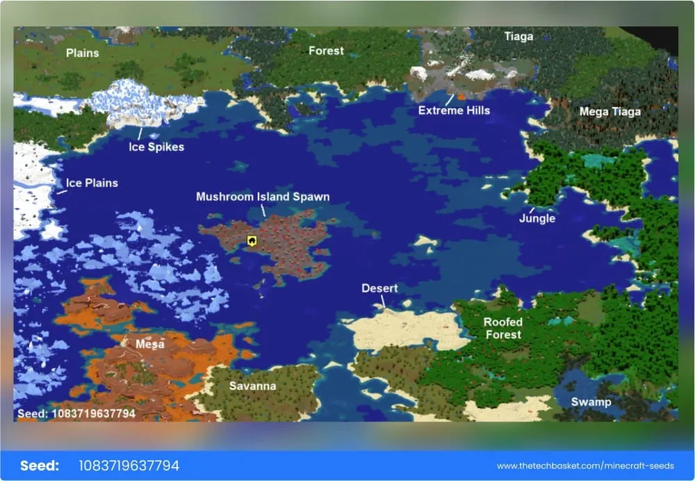 Mushroom island spawn surrounded by multiple biome types