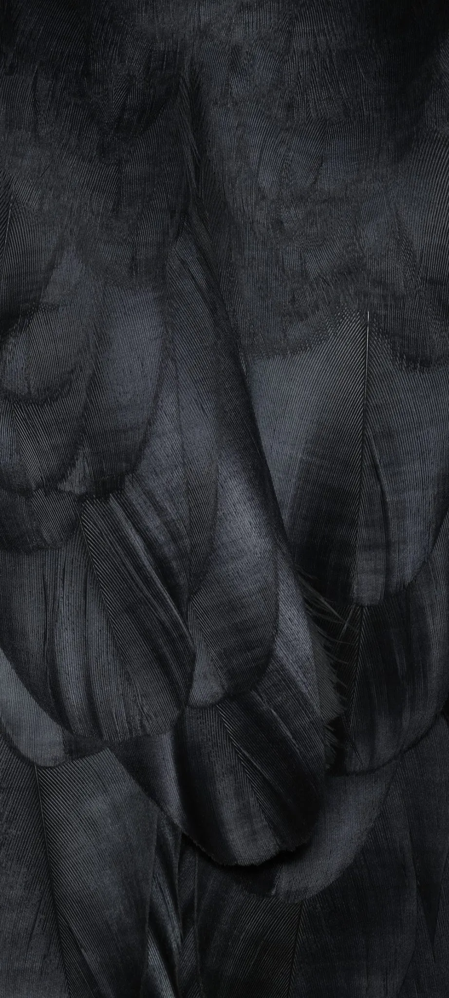 Obsidian Dark