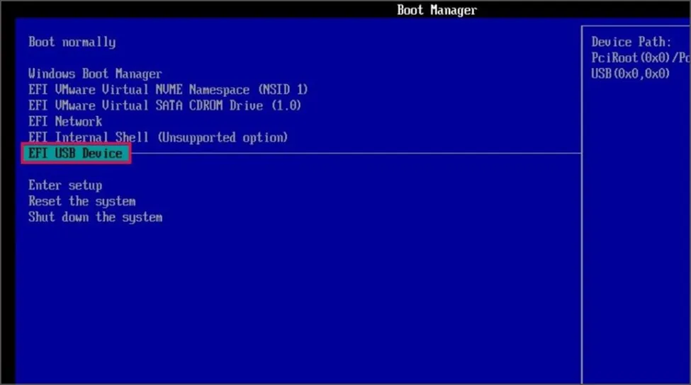 BIOS boot menu showing USB drive as boot option