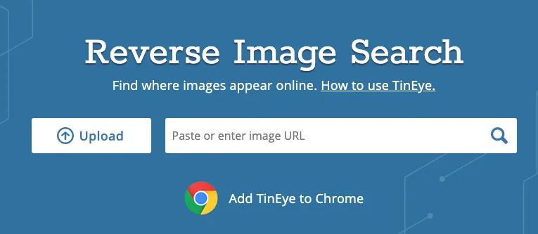 TinEye search results showing matching images from a video frame