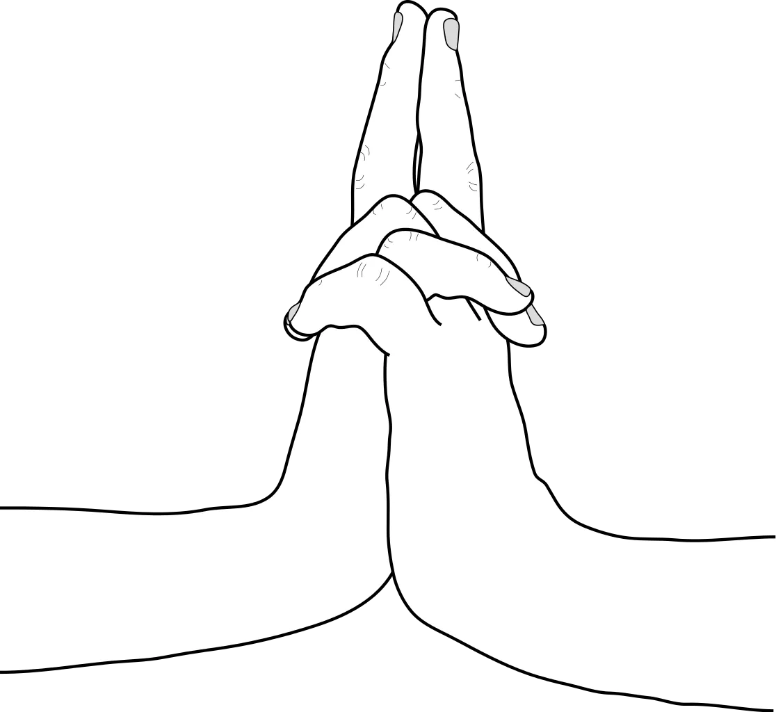Tiger hand sign (Tora, 寅) in Naruto