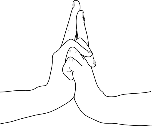 Ram hand sign (Hitsuji, 未) in Naruto