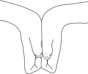 Boar hand sign (I, 亥) in Naruto