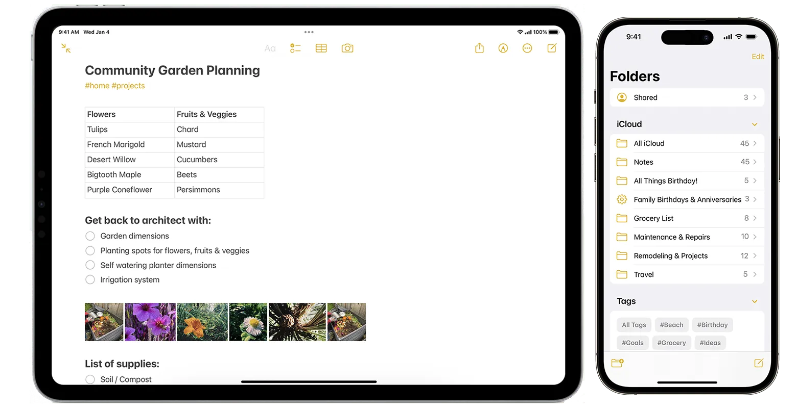 Apple Notes app interface on iPad with drawing tools