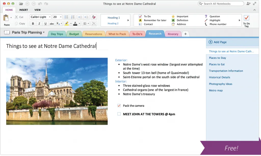 Microsoft OneNote notebook with sections and freeform text notes
