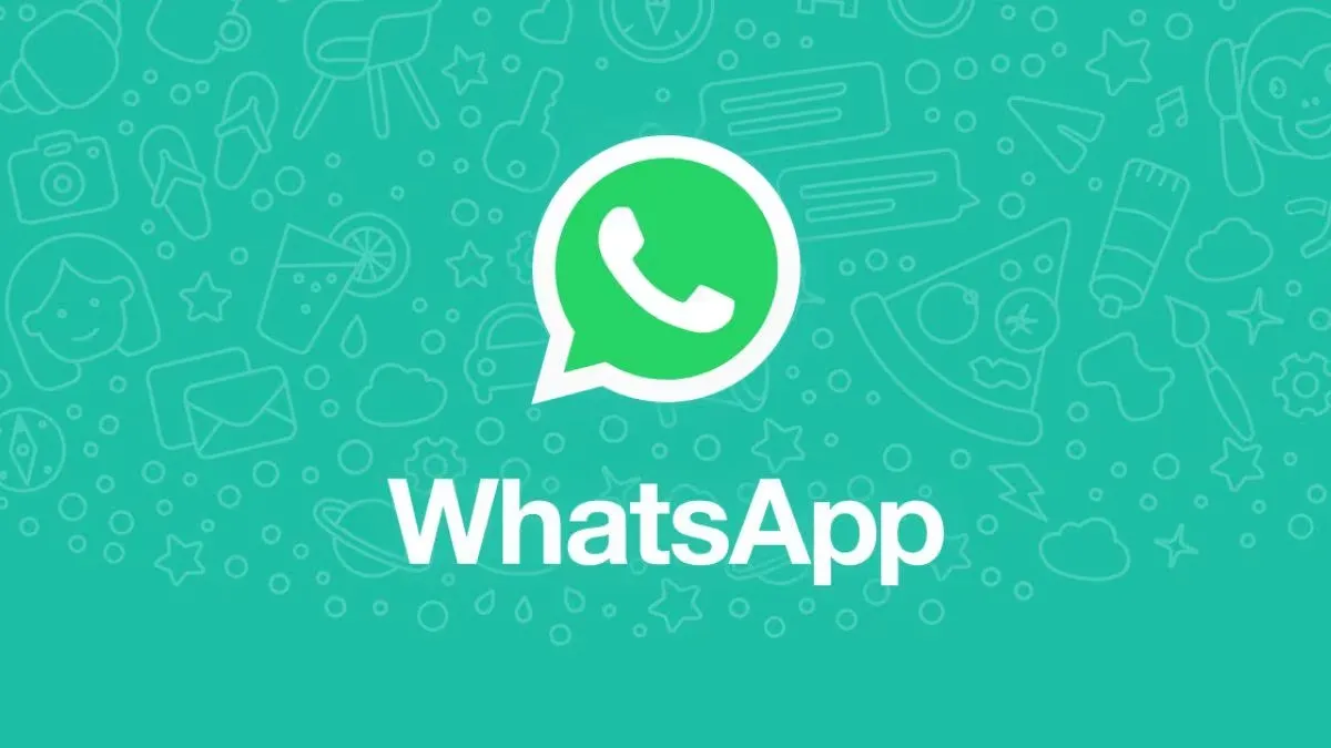 WhatsApp desktop app chat window with message thread