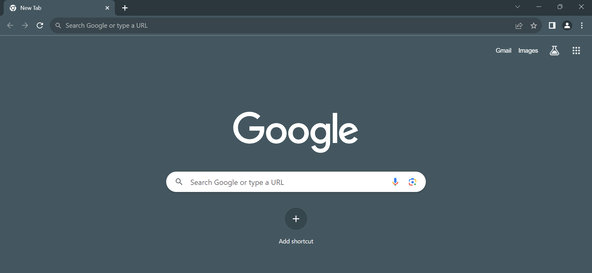 Search Google