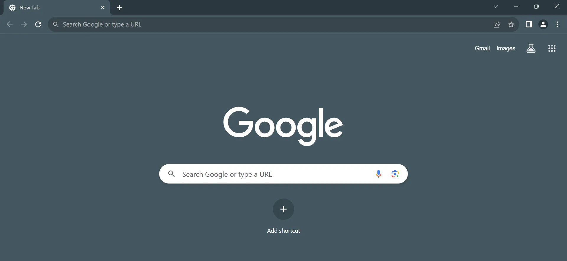 Search Google