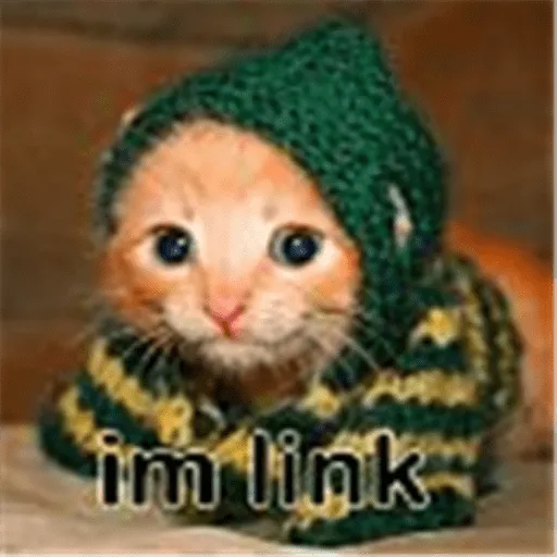 link cat