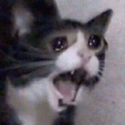 Crying Cat Meme
