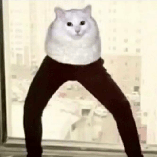 Cursed Cat Again