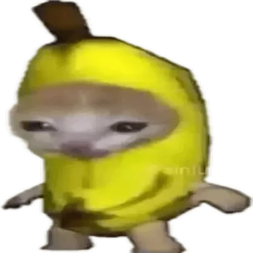 Banana cat