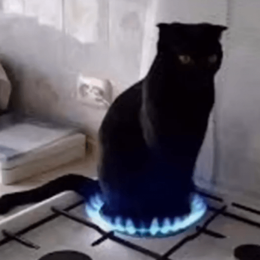 cursed baking cat
