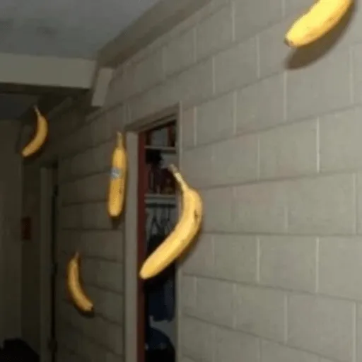 cursed image
