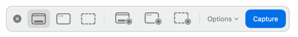 The macOS Screenshot toolbar with capture and record tools, Options menu and Capture button