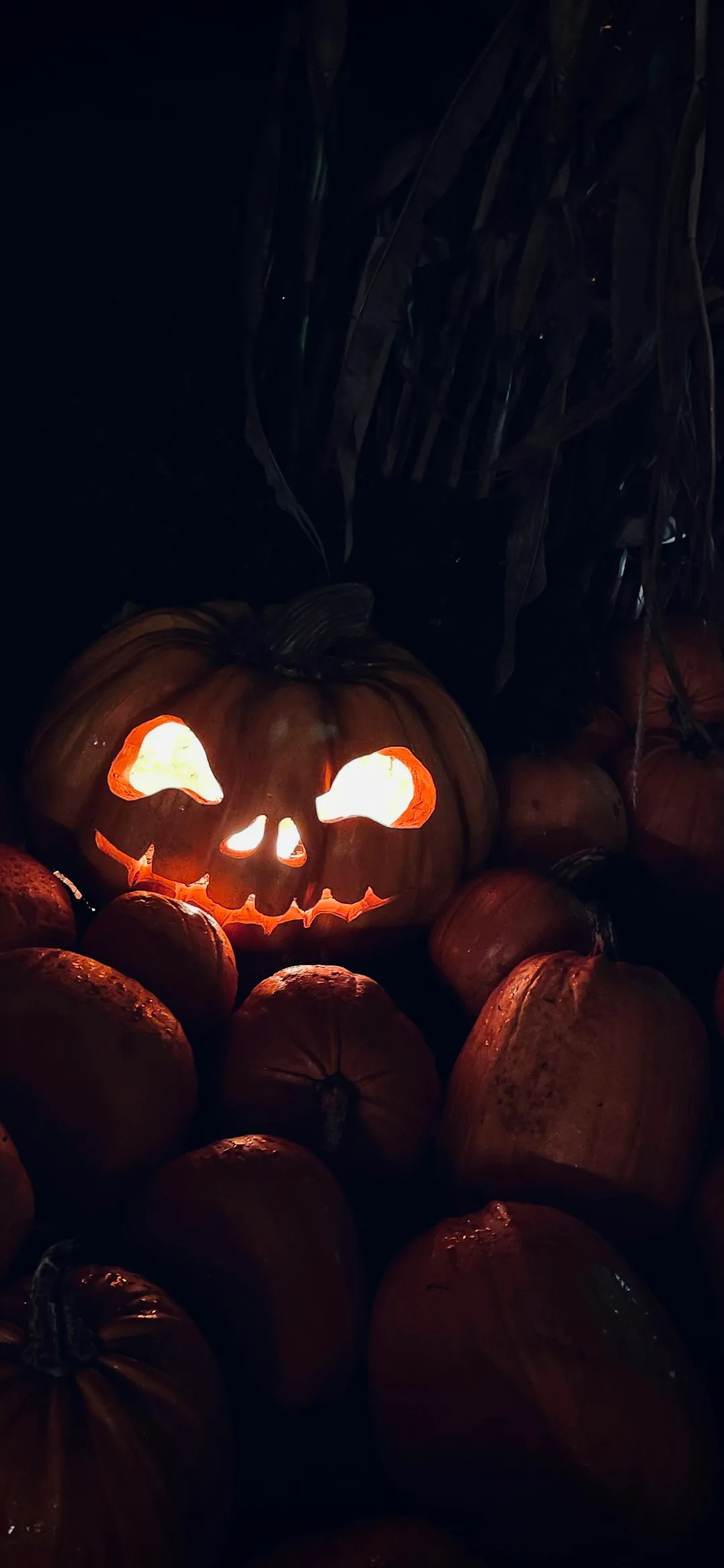 Pumpkin with glowing eyes Halloween wallpaper