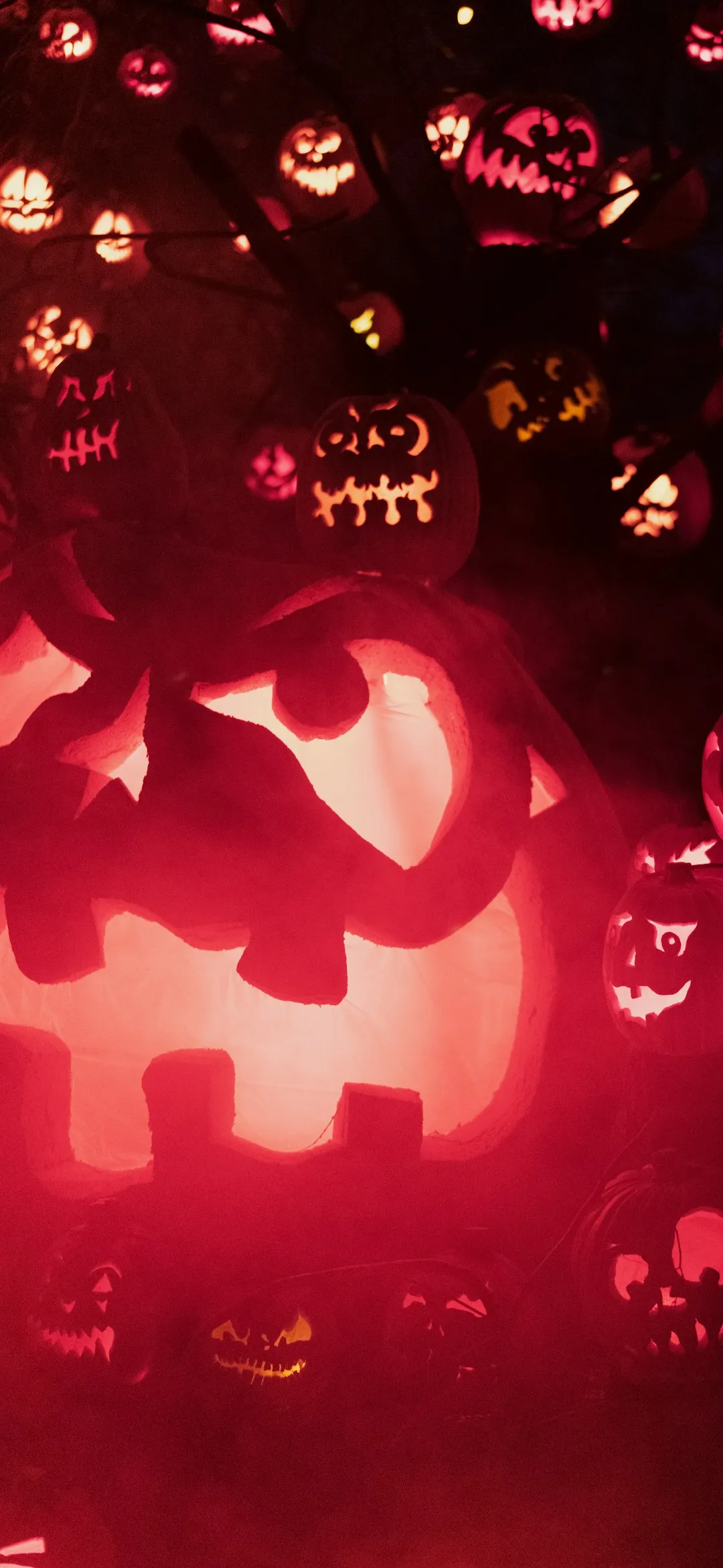 Red and black jack o lantern Halloween wallpaper