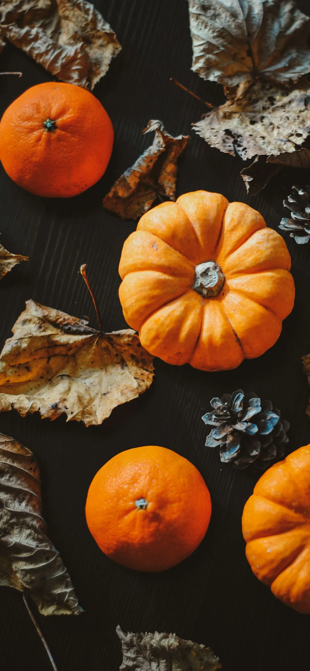 Orange pumpkins on black Halloween wallpaper