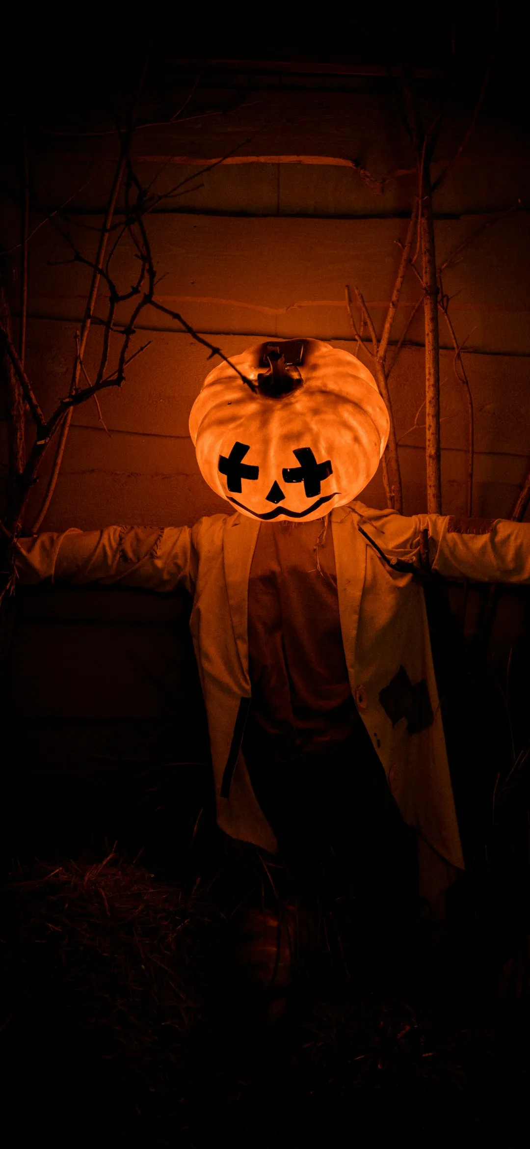 Pumpkin head scarecrow Halloween wallpaper