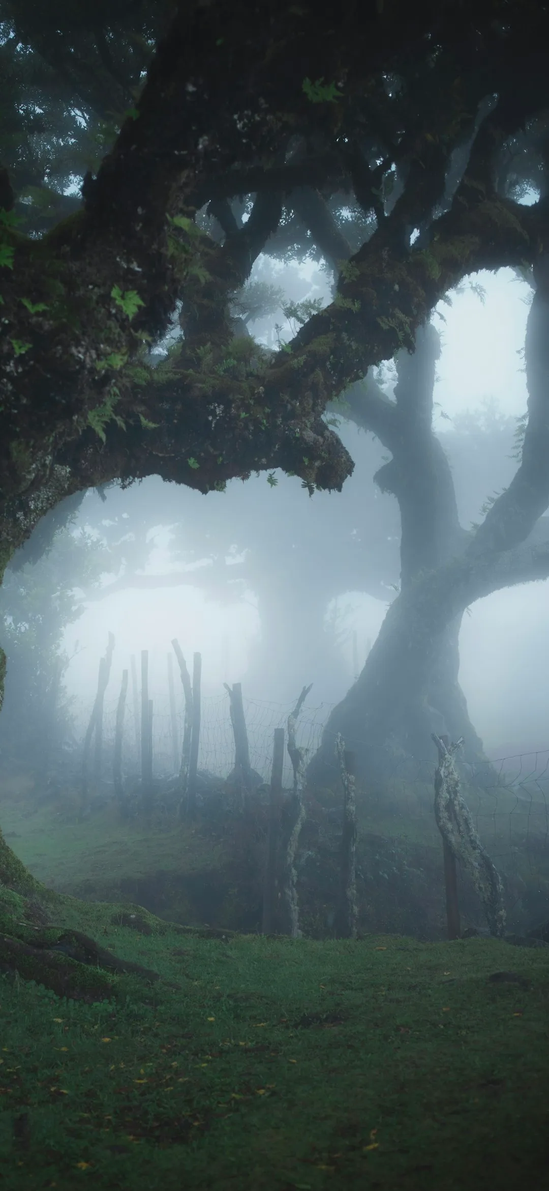 Large tree in a foggy forest Halloween wallpaper