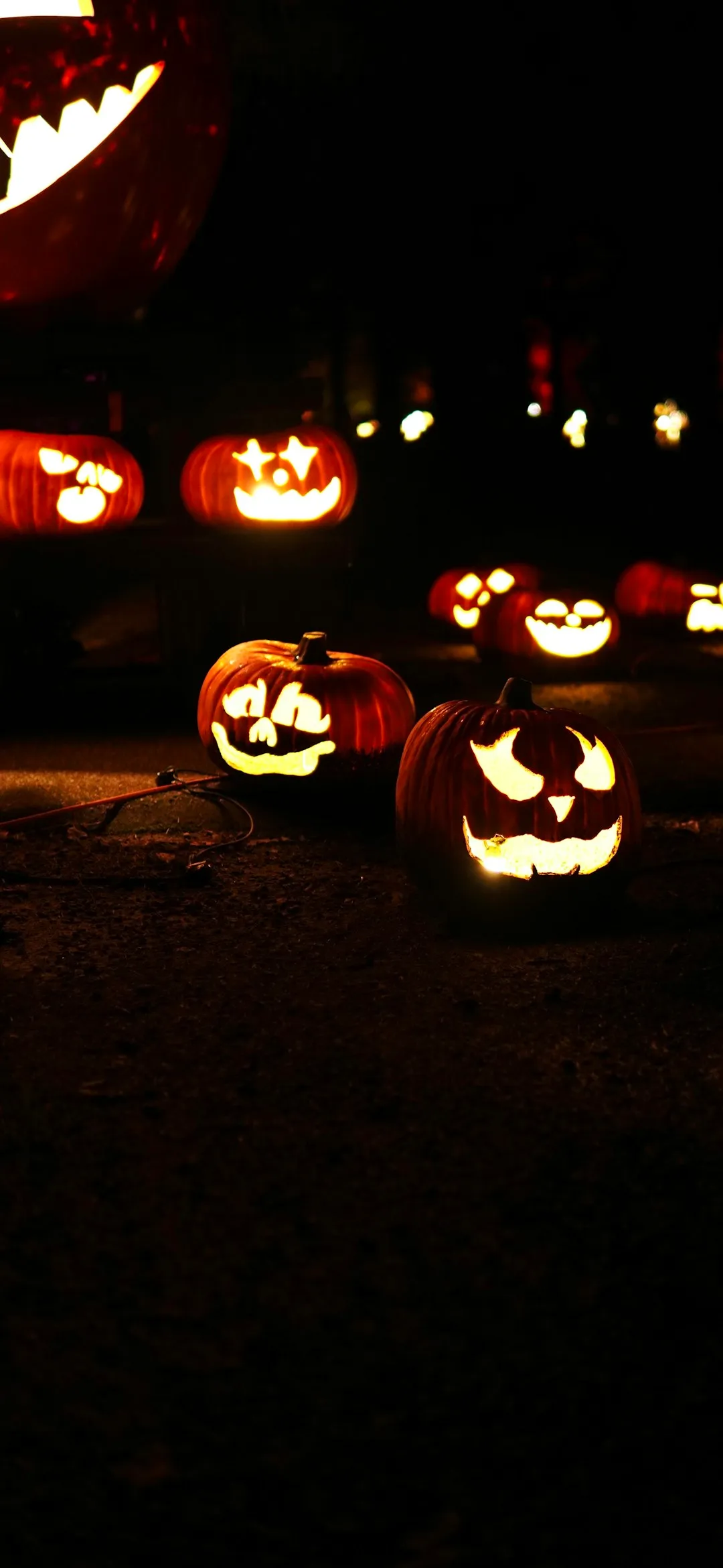 Many lit pumpkins in the dark Halloween wallpaper