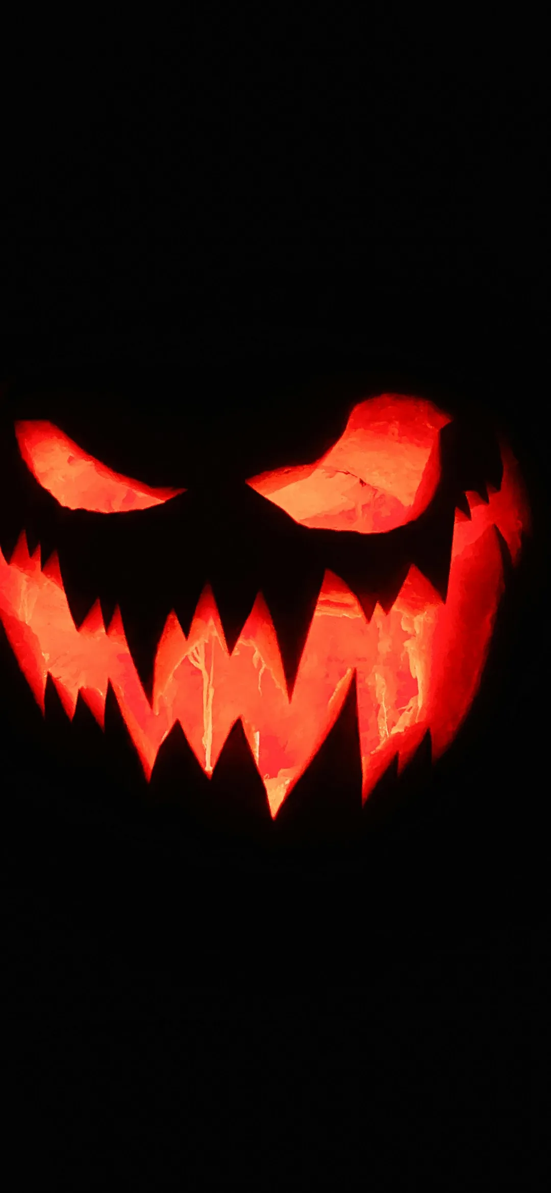 A lit up jack o lantern in the dark Halloween wallpaper