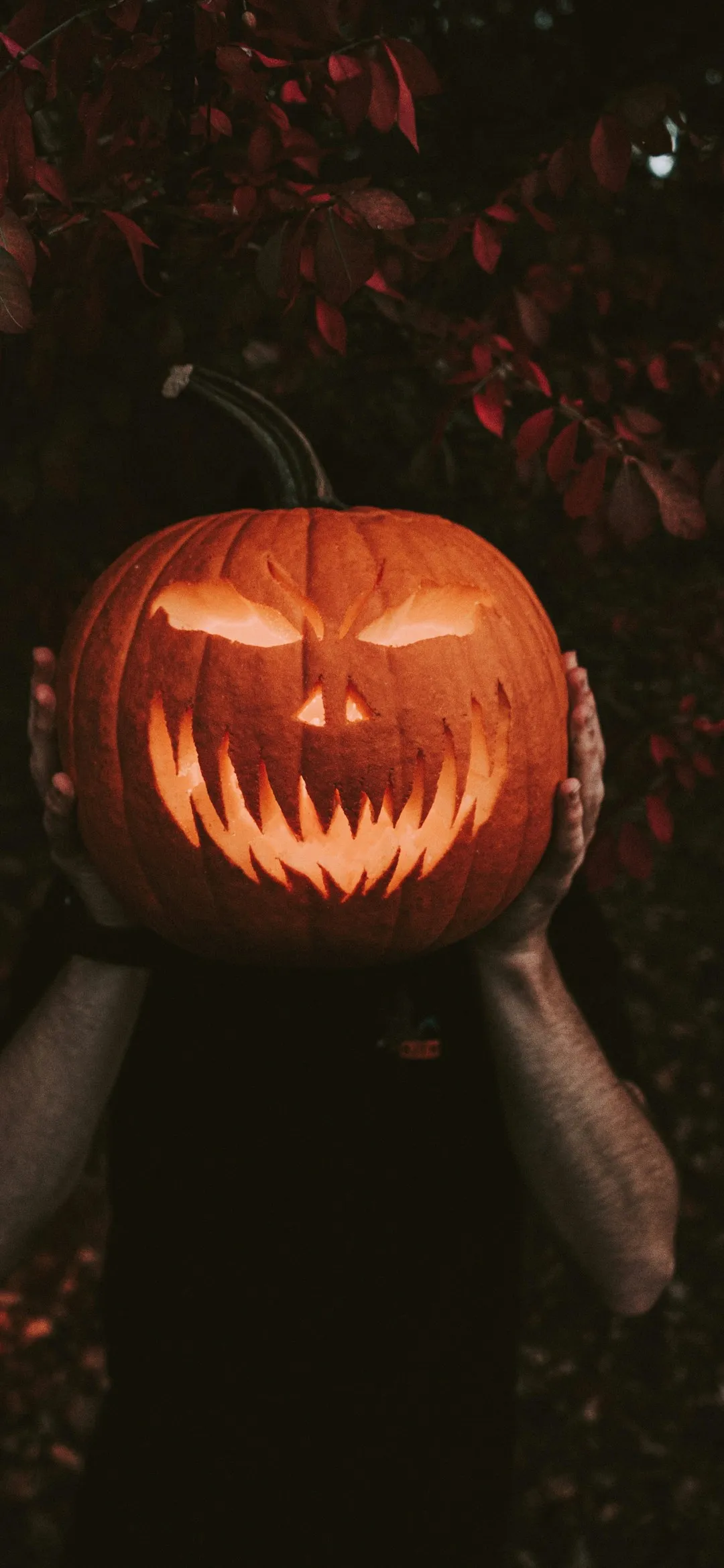 Jack-O-Lantern decor Halloween wallpaper