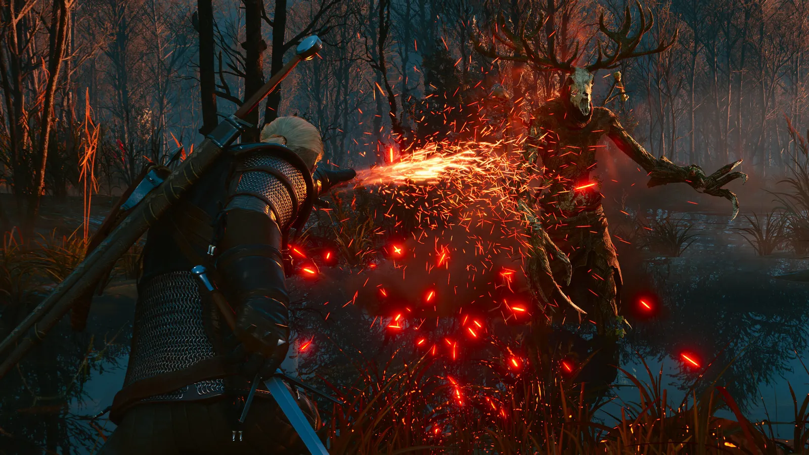 The Witcher 3: Wild Hunt gameplay screenshot