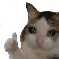 Sad cat thumbs up
