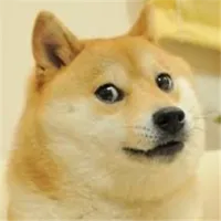 Doge!
