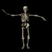 Spooky scary skeleton