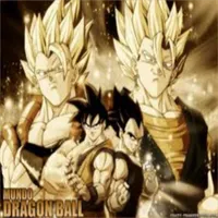 Goku and Vegeta