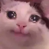 Crying cat close-up