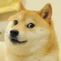 Doge Doge
