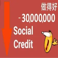 -30000000 social credit