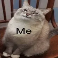 Smug cat "Me" meme