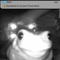 Doorbell camera frog