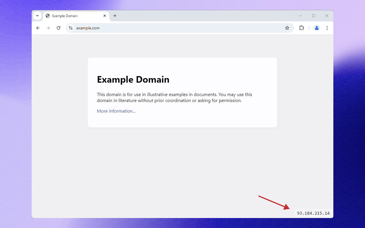 Show IP screenshot 1