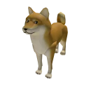 Attack Doge