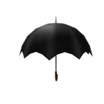 Magical Umbrella