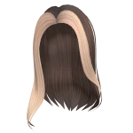 Popular Girl Blonde & Brown Hair