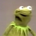 Kermit funny face
